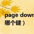 page down键是什么意思啊（pagedown是哪个键）