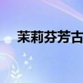 茉莉芬芳古筝曲林玲（茉莉芬芳古筝曲）