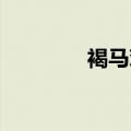 褐马鸡 百度百科（褐马鸡）