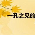 一孔之见的意思是（一孔之见的反义词）