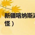 新疆喀纳斯湖水怪视频讲解（新疆喀纳斯湖水怪）