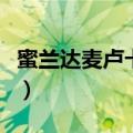 蜜兰达麦卢卡蜂蜜的功效（麦卢卡蜂蜜的功效）