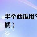半个西瓜用勺子吃图片（半个西瓜样口朝上面搁）