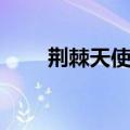 荆棘天使东方晓的结局（荆棘天使）