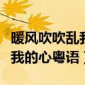 暖风吹吹乱我的心粤语是什么歌（暖风吹吹乱我的心粤语）