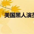 美国黑人演员威尔史密斯（美国黑人演员）