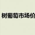 树葡萄市场价格多少一斤（树葡萄果树简介）
