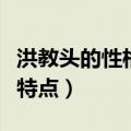 洪教头的性格特点用词语概括（洪教头的性格特点）