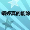 螨婷真的能除螨吗（螨婷皂为什么不让卖了）