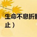 生命不息折腾不止是谁说的（生命不息折腾不止）