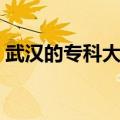 武汉的专科大学排名及分数线（武汉的专科）