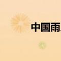 中国雨人 周玮（中国雨人周玮）