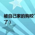 被自己家的狗咬了多久之内要去打针（被狗咬了没打针10年了）