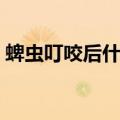 蜱虫叮咬后什么症状（蜱虫叮咬后伤口图片）
