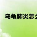 乌龟肺炎怎么治最简单（乌龟肺炎怎么治）