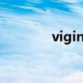 vigina cheeking（vigina）