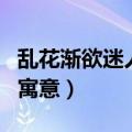乱花渐欲迷人眼现代寓意（乱花渐欲迷人眼的寓意）