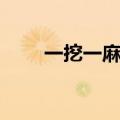 一挖一麻袋什么意思（一挖一麻袋）