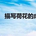 描写荷花的成语四个字（描写荷花的成语）