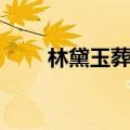 林黛玉葬花词名句（林黛玉葬花词）