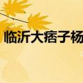 临沂大痞子杨文庆简历（临沂大痞子杨文庆）