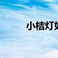 小桔灯如何制作（小桔灯怎么做）