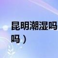 昆明潮湿吗 住着舒服吗（昆明适合长期居住吗）
