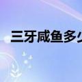 三牙咸鱼多少钱一斤（三刀鱼多少钱一斤）