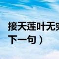 接天莲叶无穷碧全诗原文（接天莲叶无穷碧的下一句）