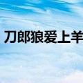刀郎狼爱上羊歌曲原唱（狼爱上羊歌曲原唱）