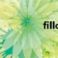 fillcharacter（fillchar）