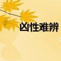 凶性难辨 阳光归属 网盘（凶性难辨）