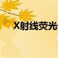 X射线荧光仪ARL9900（x射线荧光仪）