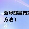 驱蟑螂最有效的方法是什么（驱蟑螂最有效的方法）
