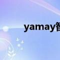 yamay智能手表（yami手表手机）