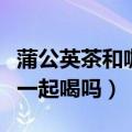 蒲公英茶和咖啡可以一起喝吗（茶和咖啡可以一起喝吗）