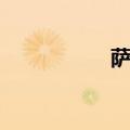 萨德反导系统（萨德）