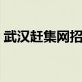 武汉赶集网招聘最新招聘（武汉赶集网招聘）