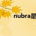 nubra是什么牌子（nubra是什么）