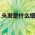 头发是什么组织还是器官（头发是什么组织）