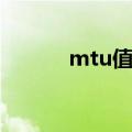 mtu值不一致（mtu范围不对）