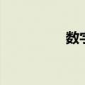 数字信息化（数字信息）