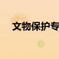 文物保护专业选科要求（文物保护专业）