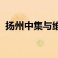 扬州中集与维斯塔斯签订长期战略合作协议