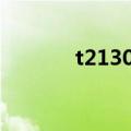 t2130cpu哪一年的（t2130）