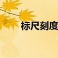 标尺刻度1.75怎么设置（标尺刻度）