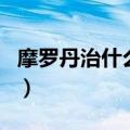 摩罗丹治什么胃病最好（摩罗丹能根除胃病吗）