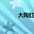 大陶红现在状况如何（大陶红）