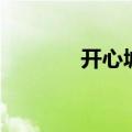 开心城市怎么换（开心城市）