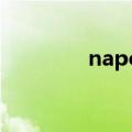 napoli香烟价格（napoli）